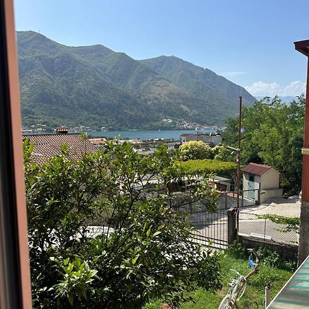 Themis Apart Hotel Kotor Exteriör bild