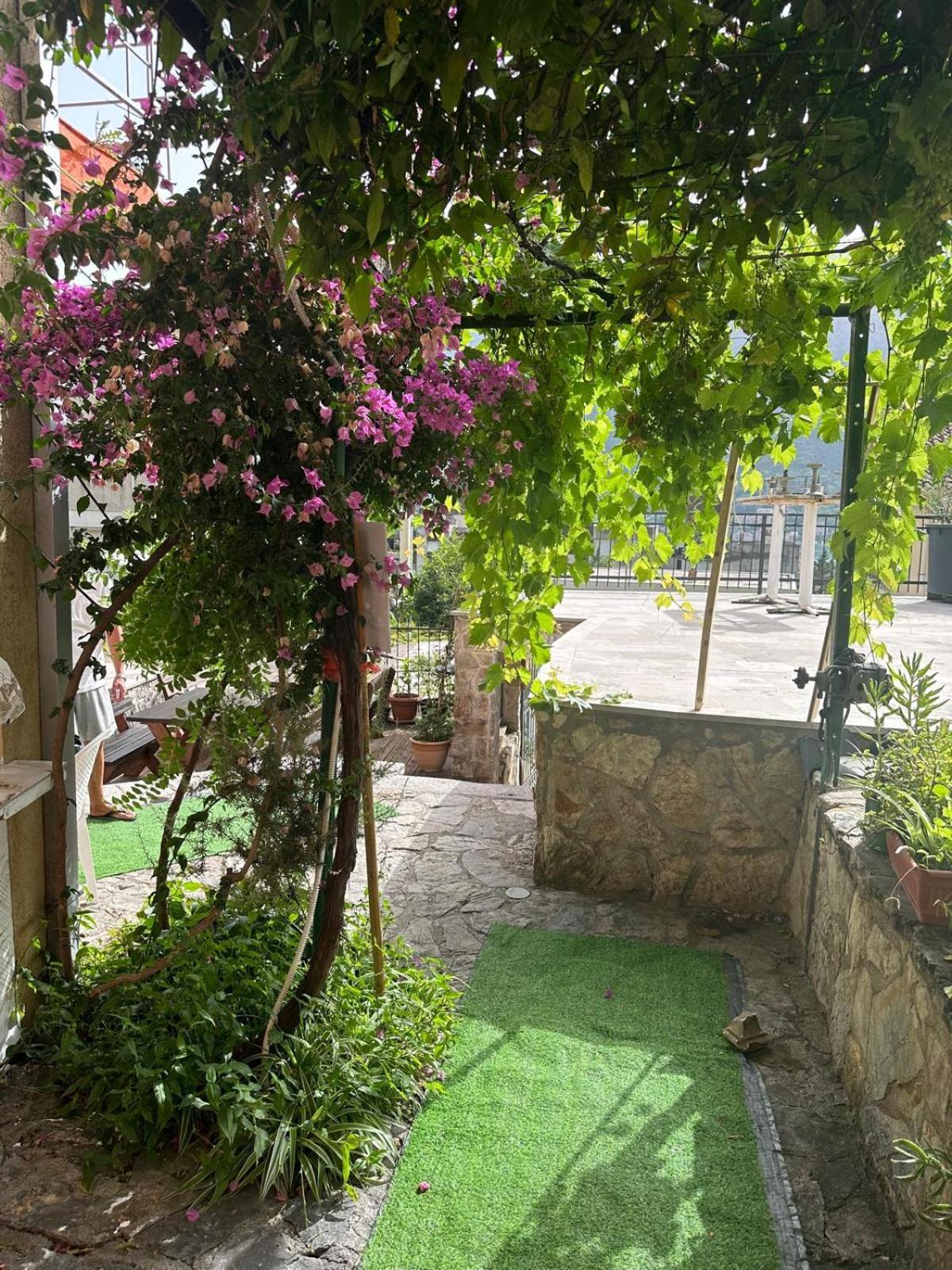 Themis Apart Hotel Kotor Exteriör bild