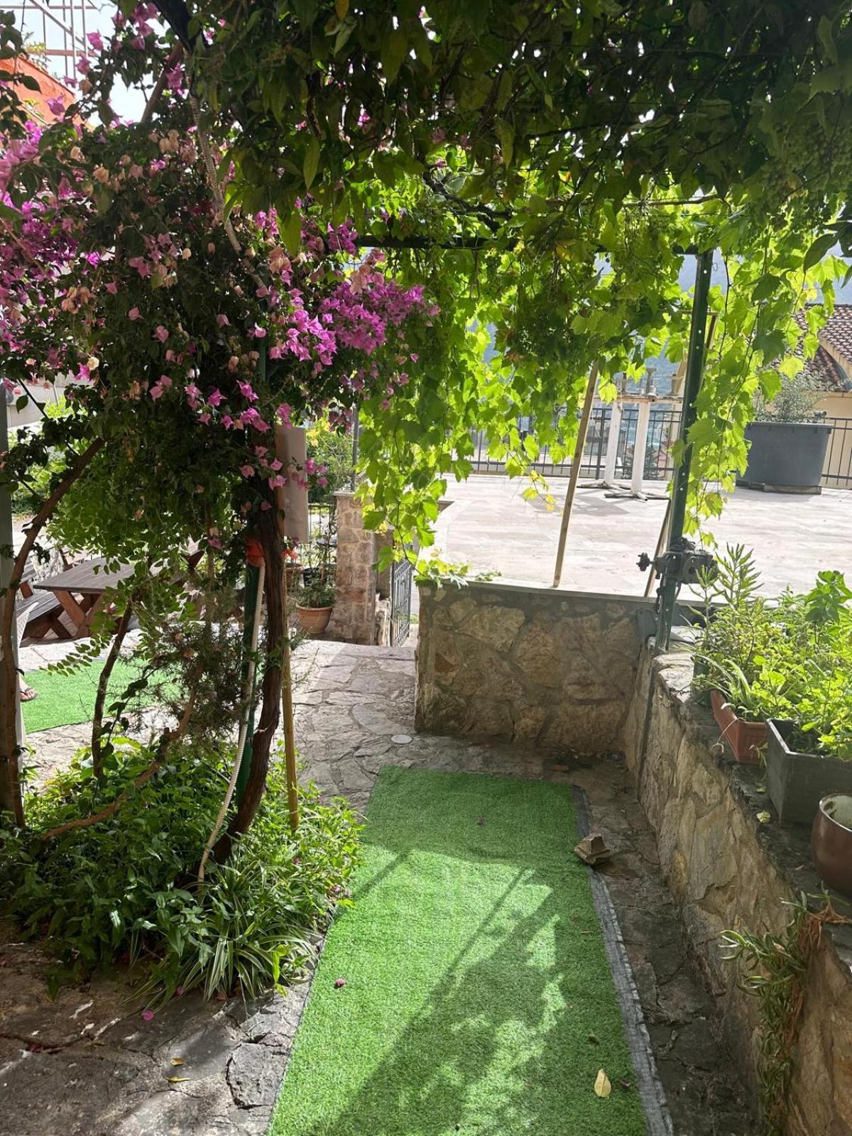 Themis Apart Hotel Kotor Exteriör bild